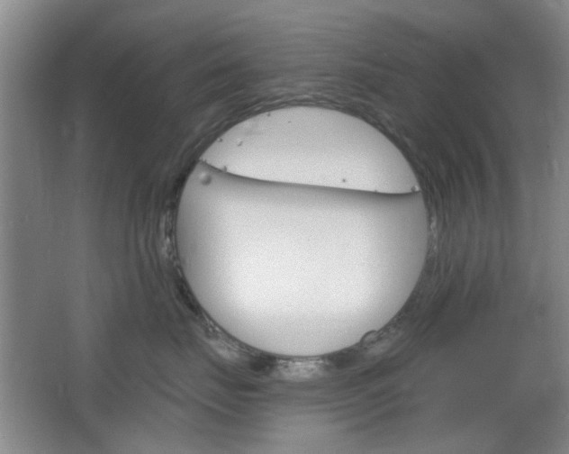 X0000064720671200602100933