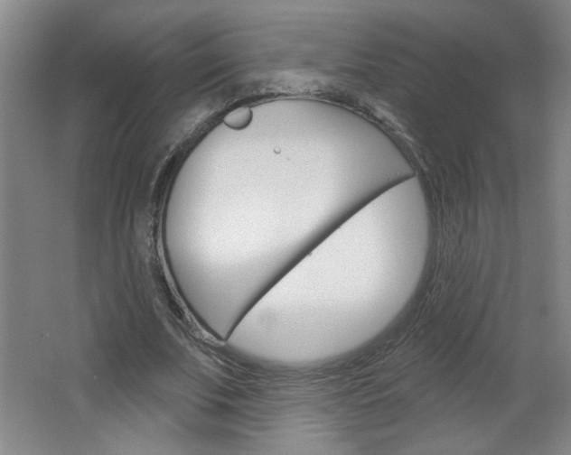 X0000064720679200602100932