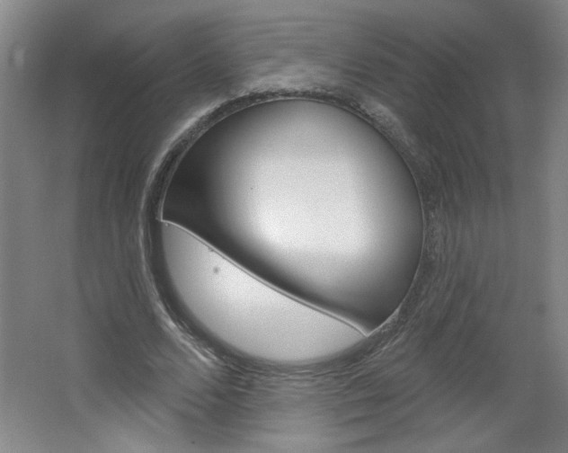 X0000064720680200602100932