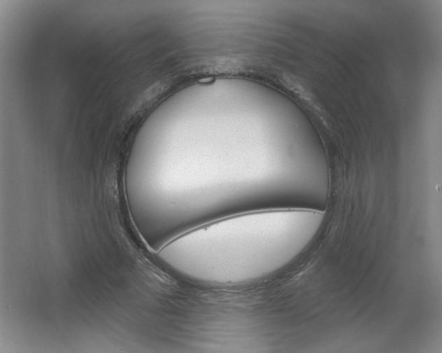 X0000064720681200602100932