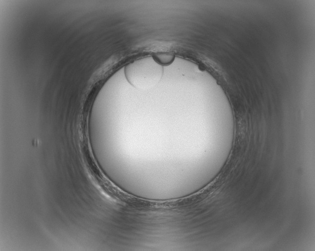 X0000064720682200602100932