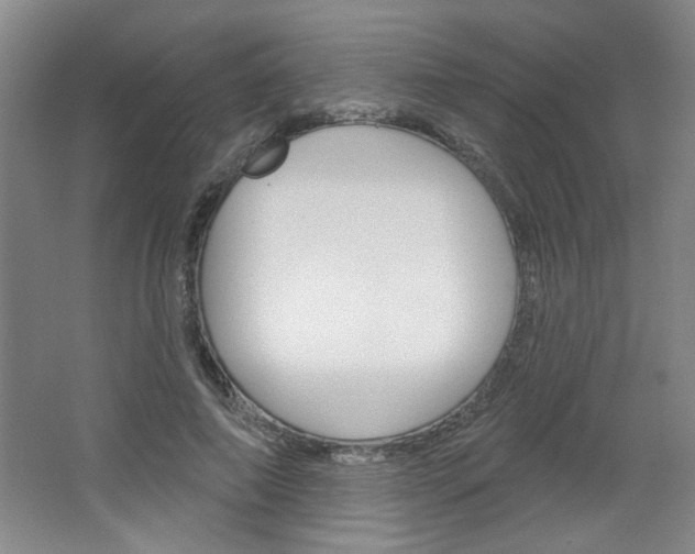 X0000064720690200602100932
