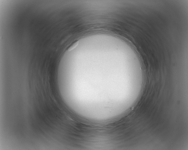 X0000064720701200602100932