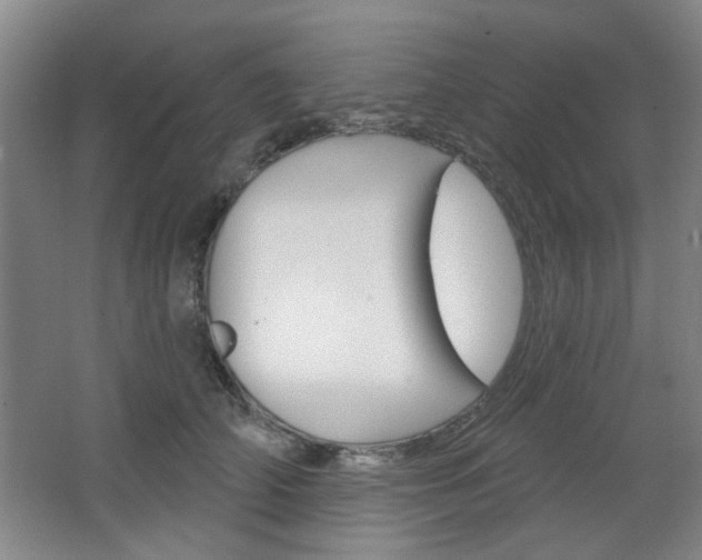 X0000064720706200602100932