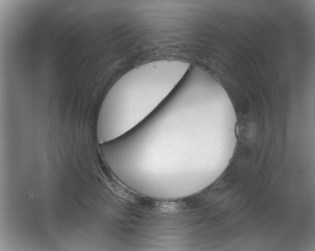 X0000064720710200602100932