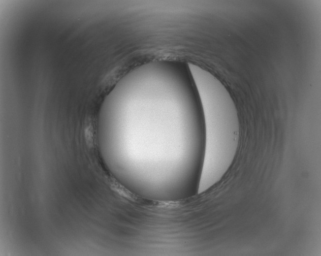 X0000064720720200602100932