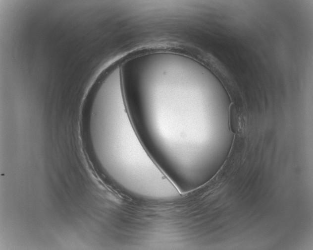 X0000064720724200602100931