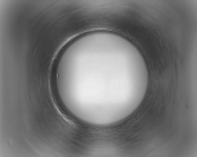 X0000064720728200602100931