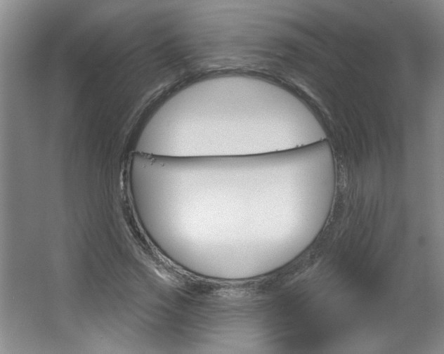 X0000064720733200602100931