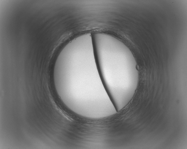X0000064720738200602100931