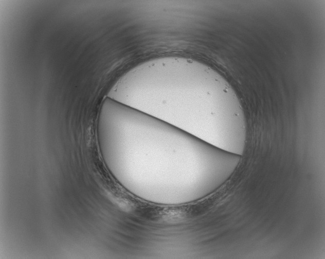 X0000064720741200602100931