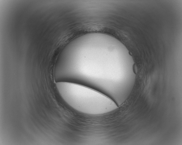 X0000064720743200602100931