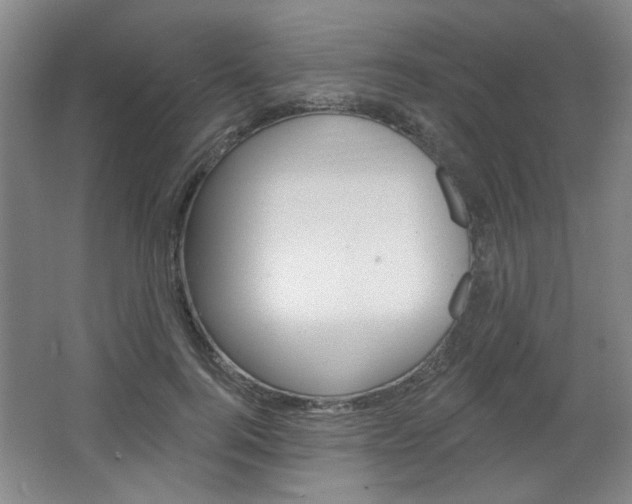 X0000064720744200602100931
