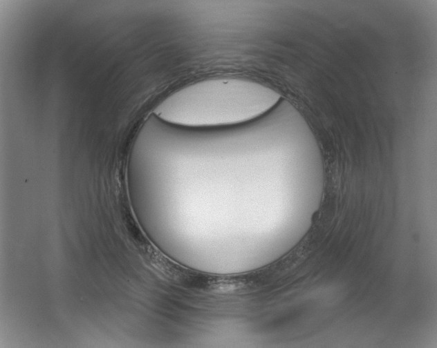 X0000064720746200602100931