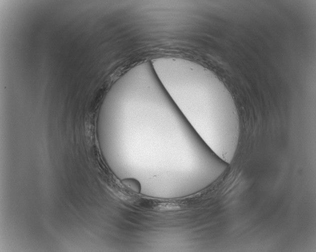X0000064720749200602100931