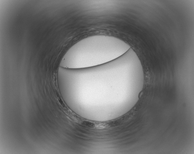 X0000064720753200602100931
