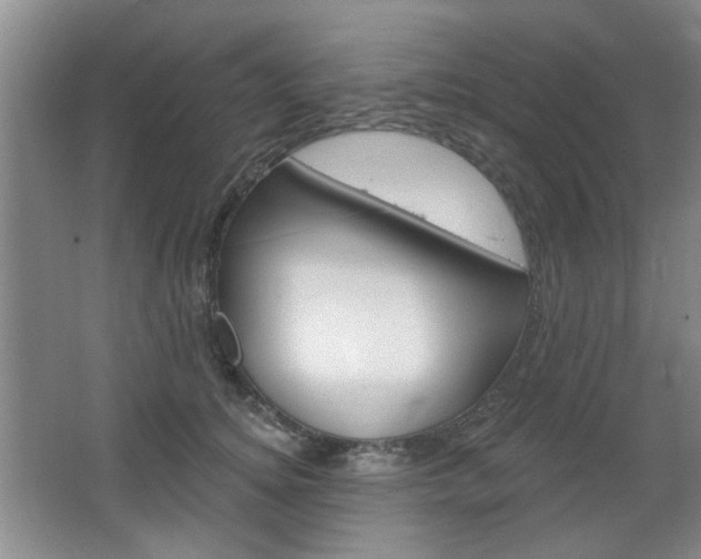 X0000064720756200602100931