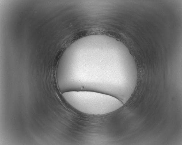 X0000064720757200602100931