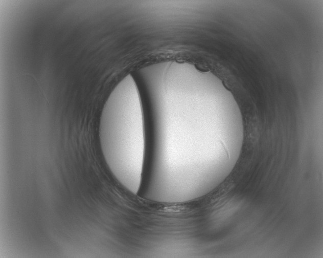 X0000064720758200602100931