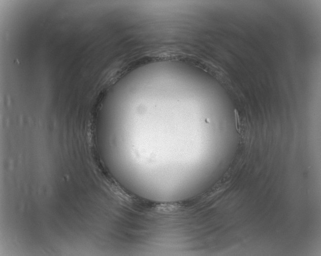 X0000064720762200602100931