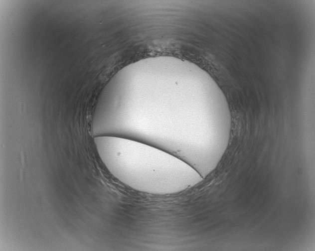 X0000064720770200602100931