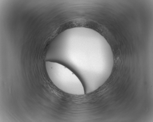 X0000064720772200602100931