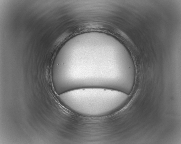 X0000064720777200602100931
