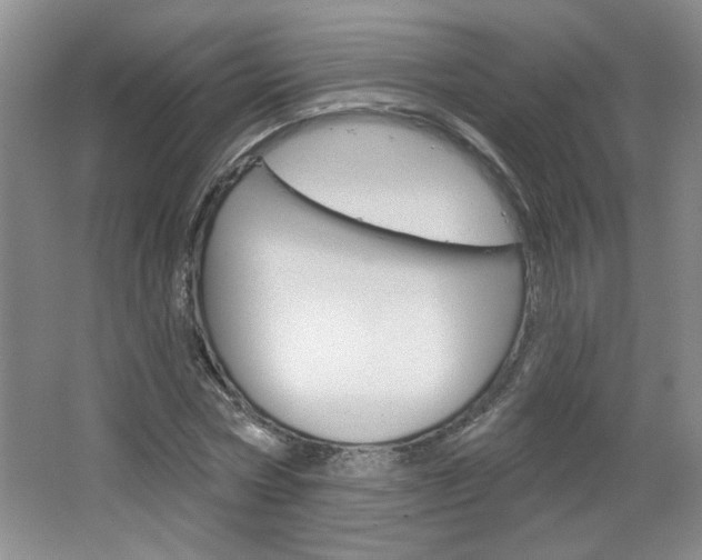 X0000064720778200602100931