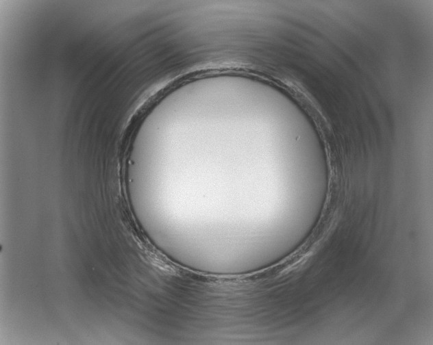X0000064720781200602100931