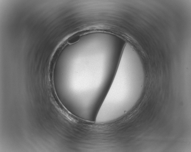 X0000064720784200602100931