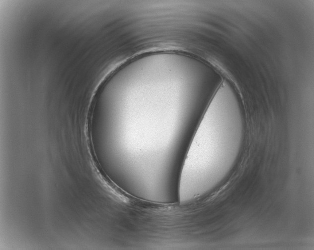 X0000064720797200602100930