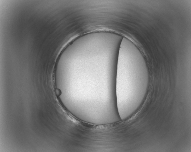 X0000064720806200602100930