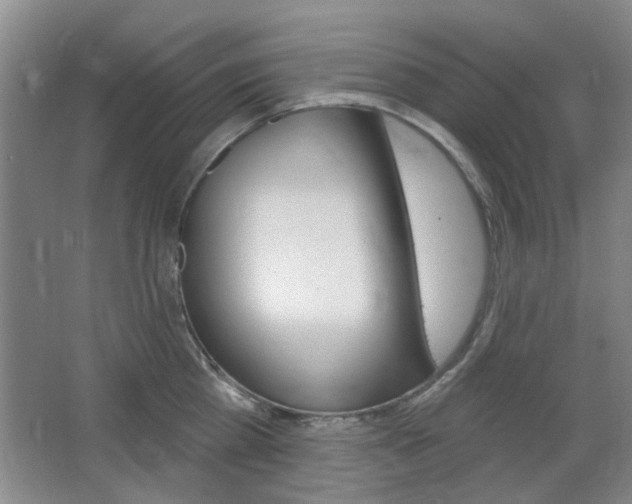 X0000064720809200602100930