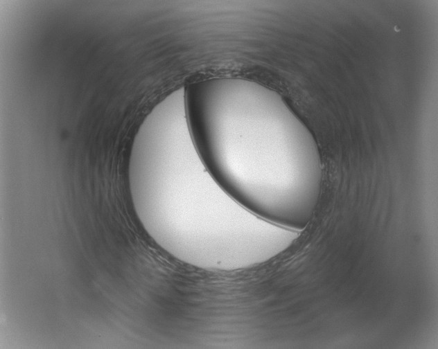 X0000064720818200602100929