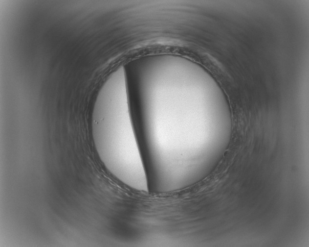 X0000064720821200602100929