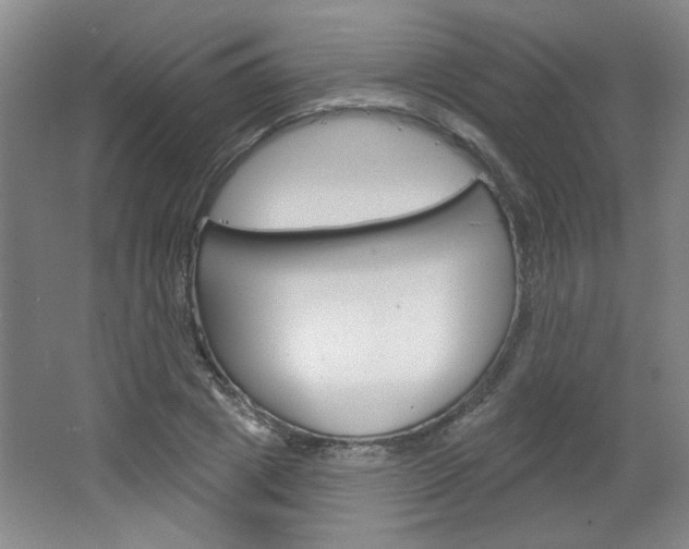 X0000064720833200602100929