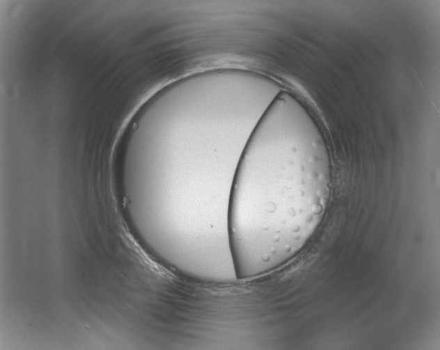 X0000064720835200602100929
