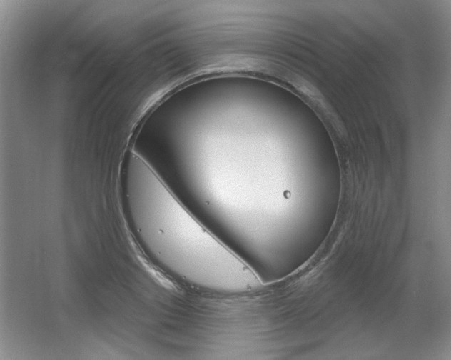 X0000064720842200602100930
