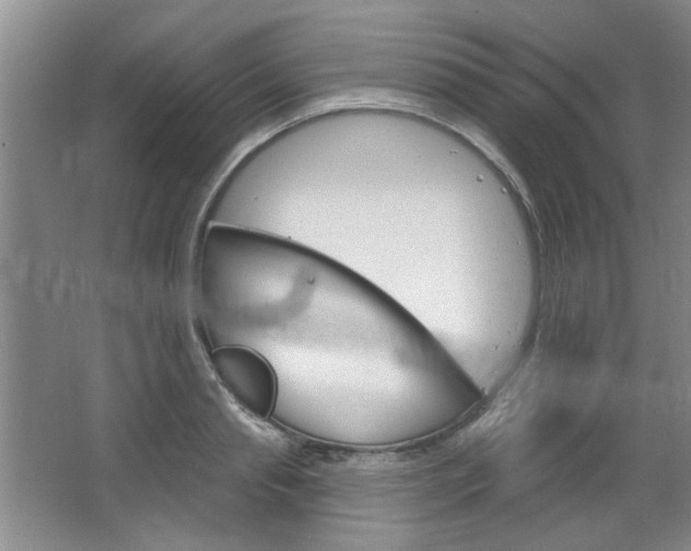 X0000064720845200602100930