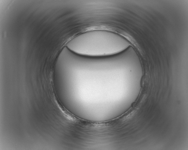 X0000064720849200602100930