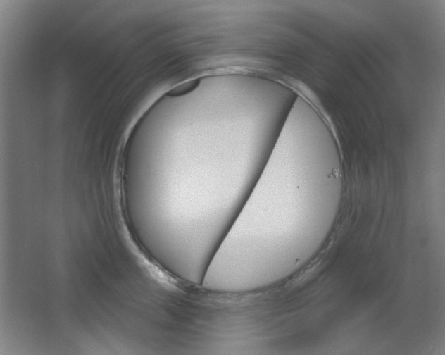 X0000064720859200602100930