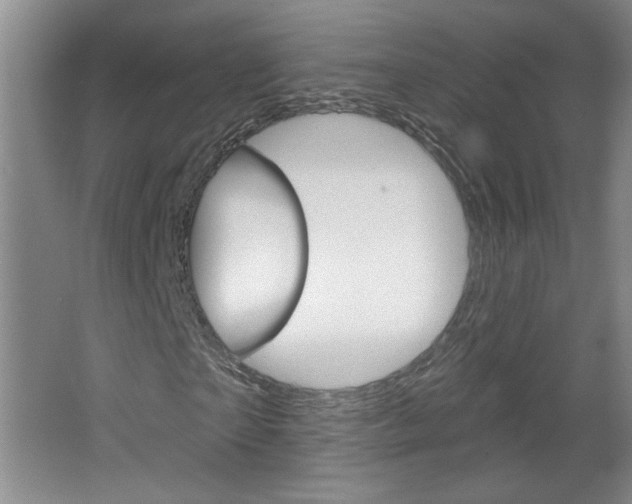 X0000064720865200602100929