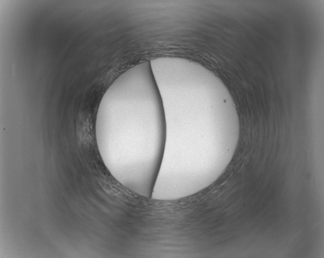X0000064720866200602100929