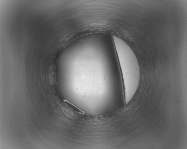 X0000064720868200602100929