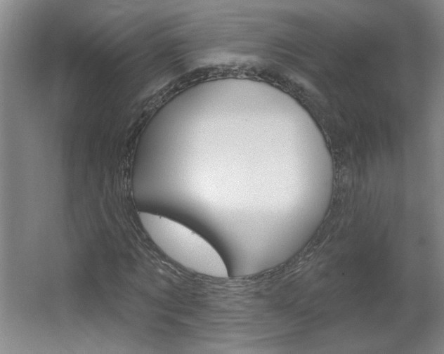 X0000064720869200602100929
