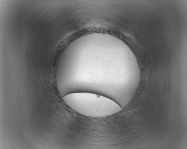 X0000064720870200602100929