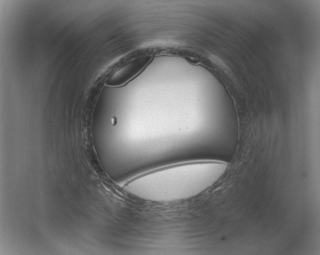 X0000064720872200602100929