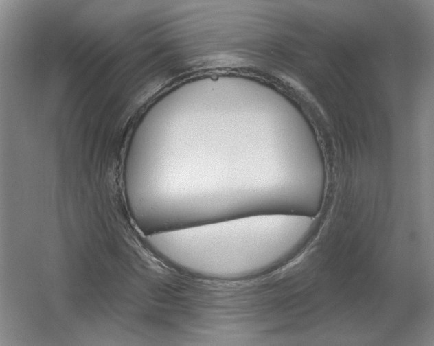 X0000064720873200602100929