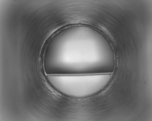 X0000064720876200602100929