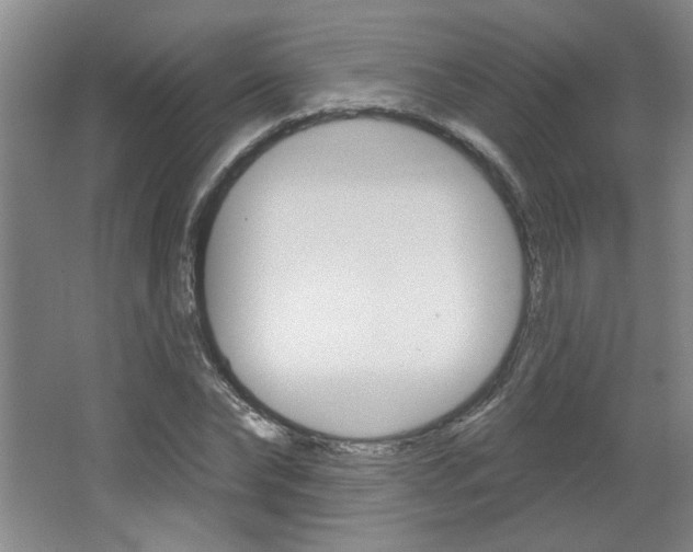 X0000064720878200602100929